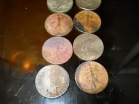 DSCN6258.webp