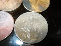 DSCN6262.webp