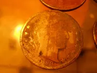 DSCN6264.webp