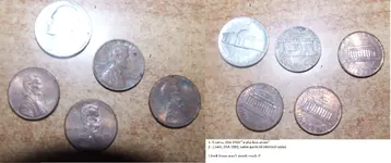 DSCF5706.webp