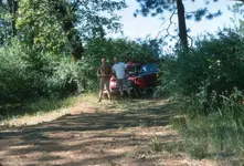 Green Valley Trail.webp