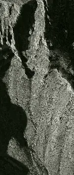 googleearthAZ pope.webp