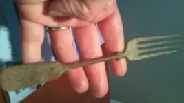 Fork V.webp