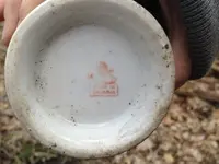 cup.webp
