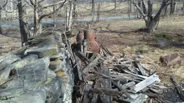 100_0020.webp 100_0020.webp