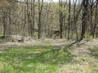 IMG_1401.webp IMG_1401.webp