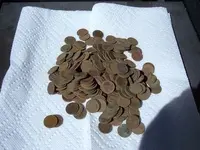 wheats.webp