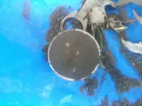 20130426_140913.webp