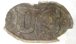 boxplate1.webp