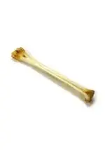 boot polishing bone red deer.webp