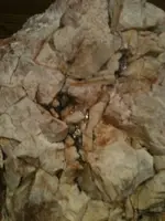 010.webp