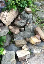 photo copy 2.webp