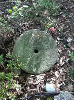 photo copy 3.webp