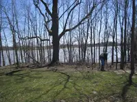 003.webp