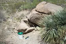 100_3893.webp