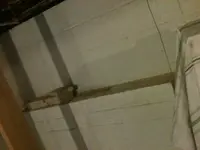 image-3571185753.webp