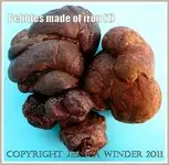 nodule.webp