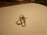 1st ring 003.webp