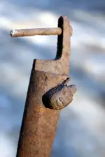 NH FINDS 04-03-2013 022.webp