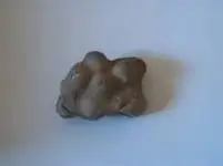 coprolite 2.webp
