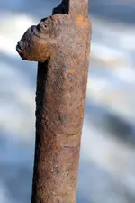 NH FINDS 04-03-2013 023.webp