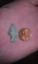 Bird point penny.webp