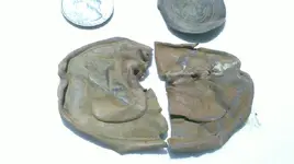 US Buckle.webp
