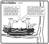 Bits & Bobbles.webp