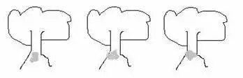 test2.webp