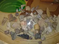 DSC03316.webp