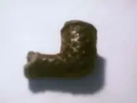 Picture 11.webp
