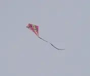Kite.webp