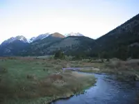 Meadow in the morning.webp