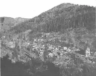 Bourne hill.webp