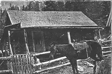 cabin at bourne.webp