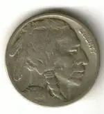 21s buffalo.webp