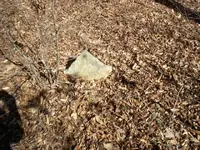 cemtery (1).webp