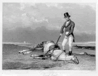dead-horse.gif dead-horse.gif