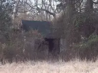 house (Small).webp