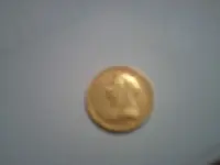 IMAG0004.webp