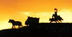 silhouette2.webp