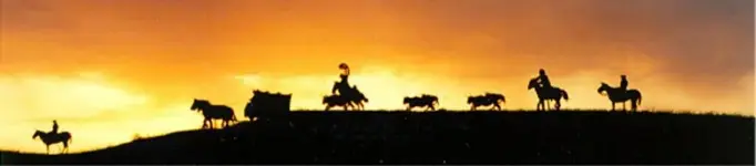 silhouette.webp