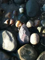 image-1746222905.webp