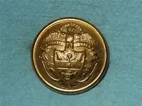 button eagle above shield.webp