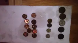 IMAG0953.webp