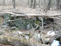 dh cellar 046.webp