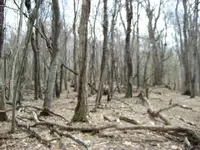 dh cellar 052.webp