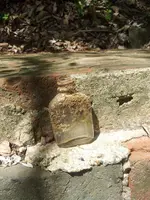 wcm building and bottle.webp