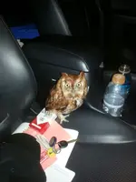 20130324_195836hg.webp