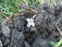 100_0438.webp